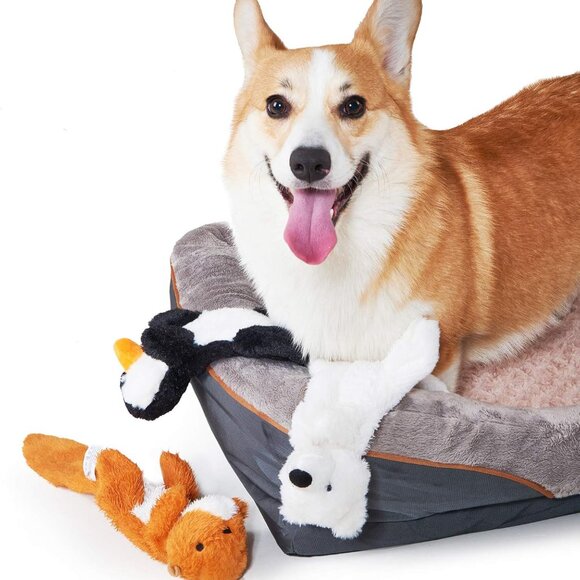 Plush Squeaky Toys for Medium and Large Dogs - No Stuffing, Durable Interactive - Picture 5 of 8